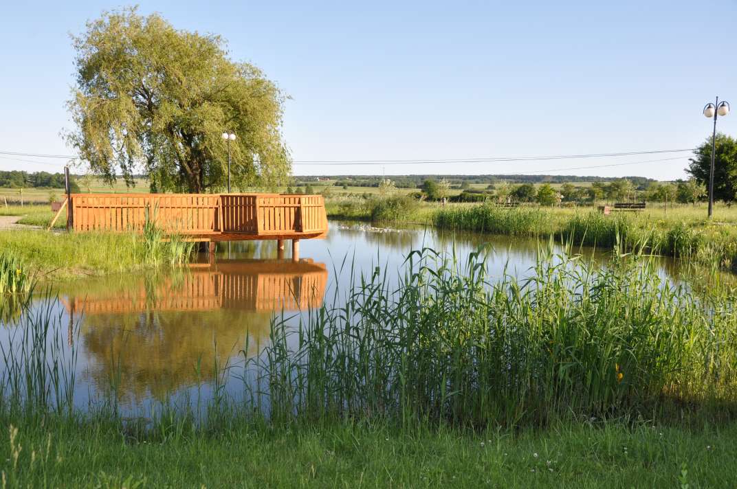 Park Małe Arboretum